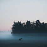 Mikko Lagerstedt valokuvagalleria, maisemavalokuvauskurssi Viron Saarenmaalla